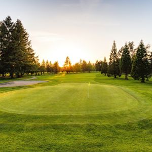Pitt Meadows Golf Course May 2018-130 small